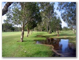 Nambucca Heads Island Golf Course - Nambucca Heads: River and trees to the right along Hole 4