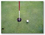 Nambucca Heads Island Golf Course - Nambucca Heads: My friend Steve comes within inches of a hole-in-one