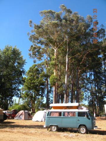 Nannup Caravan Park - Nannup: A Classic Combi near the tall timber