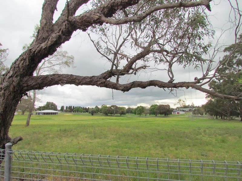 Naracoorte Holiday Park - Naracoorte: Pleasant views beyond the park