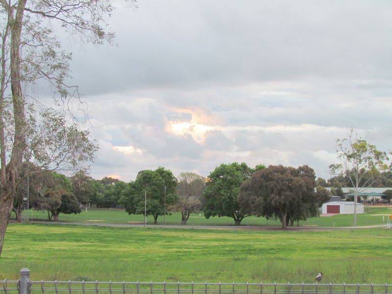 Naracoorte Holiday Park - Naracoorte: View beyond the park