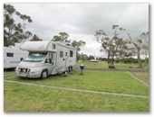 Naracoorte Holiday Park - Naracoorte: Motorhomes are very welcome