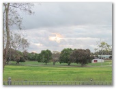 Naracoorte Holiday Park - Naracoorte: View beyond the park