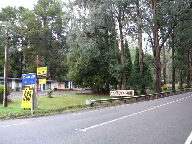 Black Spur Motel & Caravan Park - Narbethong: View of the park from the Highway