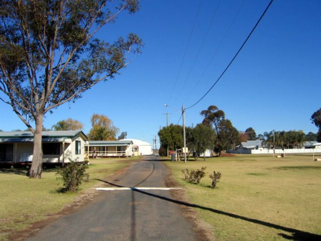 Narromine Tourist Park - Narromine: Good paved roads throughout the park