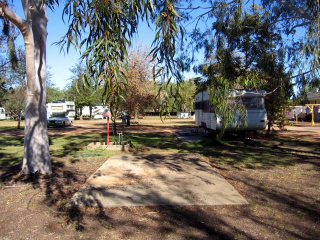 Rose Gardens Tourist Park retained for historical purposes - Narromine.: Powered sites for caravans
