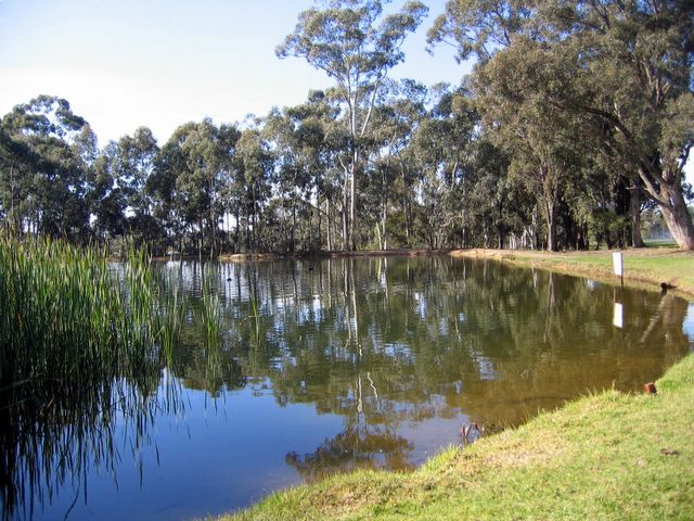 Neangar Park Golf Course - Bendigo: Water runs along beside Hole 9