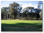 Neangar Park Golf Course - Bendigo: Green on Hole 2