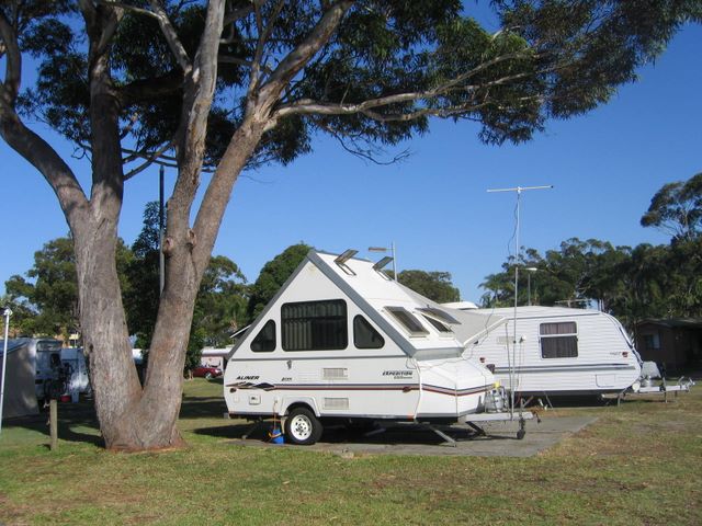 Halifax Holiday Park - Nelson Bay: Powered sites for caravans