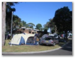 Halifax Holiday Park - Nelson Bay: Area for tents and camping