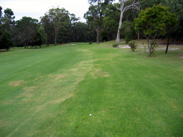Nelson Bay Golf Course - Nelson Bay: Approach to the Green on Hole 21