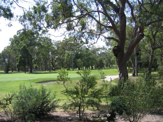 Nelson Bay Golf Course - Nelson Bay: Nelsons Bay Golf Course has an abundance of beautiful trees and shrubs
