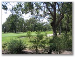 Nelson Bay Golf Course - Nelson Bay: Nelsons Bay Golf Course has an abundance of beautiful trees and shrubs