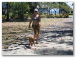 Newell Beach Caravan Park - Newell Beach: Pets staying at the park love to walk along the beach