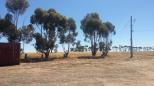 Nhill Woorak Hall Reserve - Nhill: Pleasant views from the rest area.  Relax with a view of the countryside.