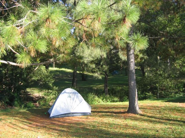 Nimbin Crystal Tourist Park - Nimbin: Area for tents and camping