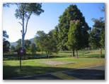 Nimbin Crystal Tourist Park - Nimbin: Powered sites for caravans with camping area in background