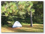 Nimbin Crystal Tourist Park - Nimbin: Area for tents and camping