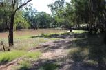 Nindigully Hotel - Nindigully: Moonie River -View from Camp Site