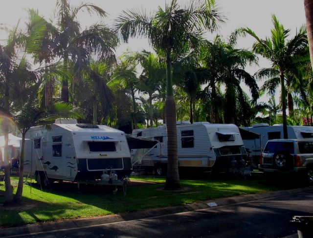 Noosa Caravan Park - Noosa: Powered sites for caravans among the palm trees