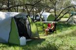 Noosa North Shore Beach Campground - Noosa North Shore: Shady spots for tents and camping