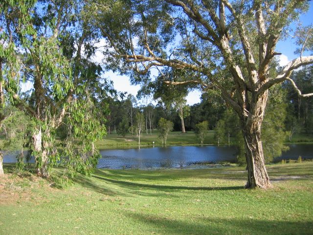 Tewantin Noosa Golf Course - Tewantin: The course is blessed with delightful trees and lakes