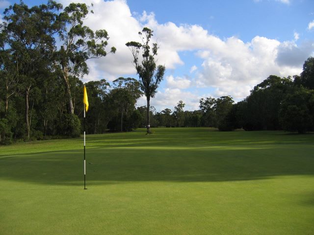 Tewantin Noosa Golf Course - Tewantin: Green on Hole 6 looking back along fairway