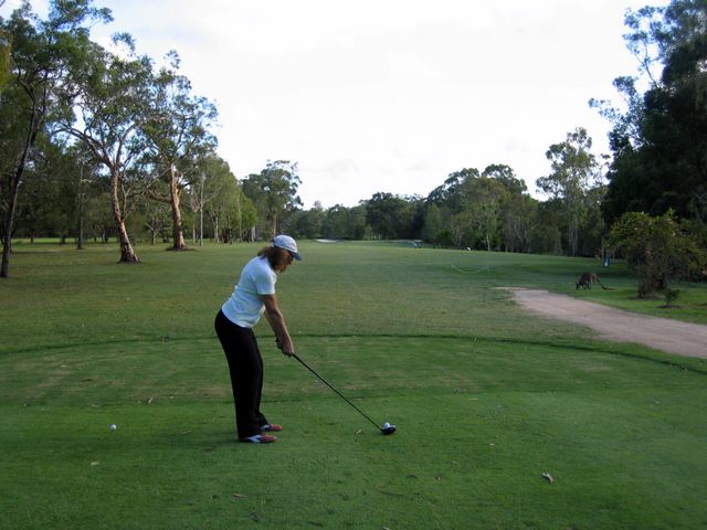 Tewantin Noosa Golf Course - Tewantin: Fairway view Hole 8