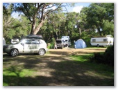 Parry Beach Camp Area - Parryville: Overview of the campground