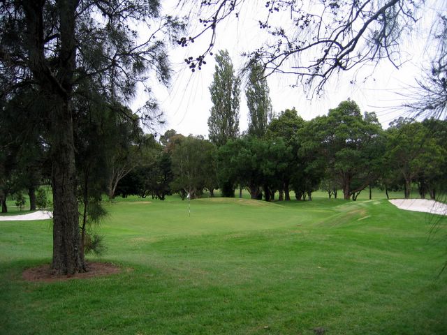 North Ryde Golf Course - North Ryde Sydney: Green on Hole 3