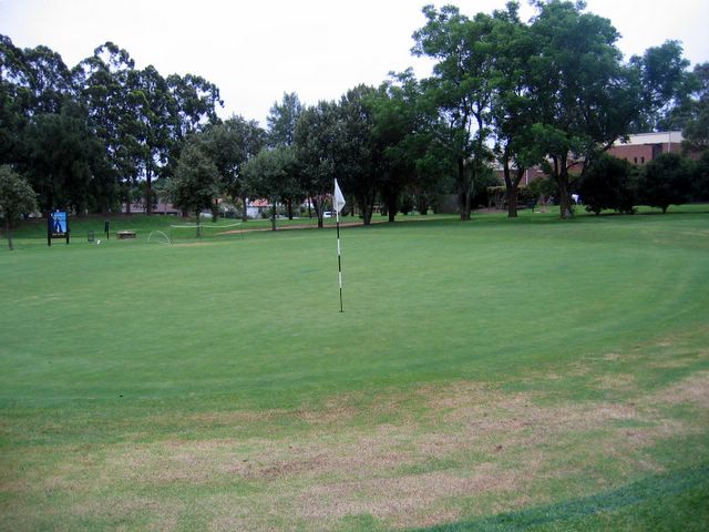 North Ryde Golf Course - North Ryde Sydney: Green on Hole 4