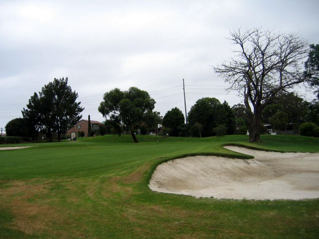 North Ryde Golf Course - North Ryde Sydney: Green on Hole 5 with large bunker to right