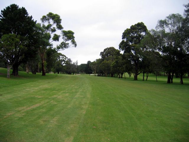 North Ryde Golf Course - North Ryde Sydney: Midway on Hole 9