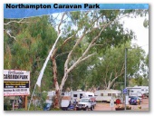 Northampton Caravan Park - Northampton: Powered sites for caravans