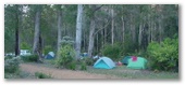Roundtu It Eco Caravan Park - Northcliffe: Area for tents and camping