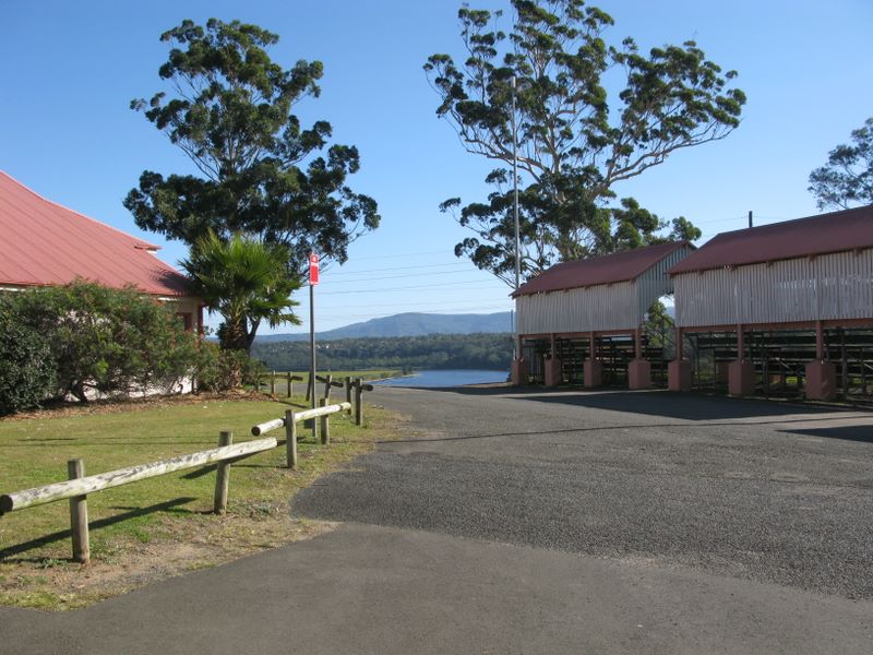Nowra Showground Camping - Nowra: Sealed access road