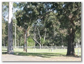 Nowra Showground Camping - Nowra: Powered sites for caravans with bush views