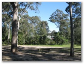 Nowra South Rest Area - Nowra: Large open area where you can stay and rest