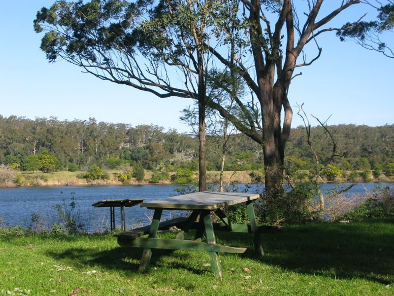 Nowra Wildlife Park Reserve - Nowra North: Riverside picnic area.