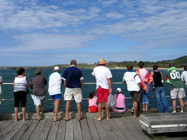 Novotel Pacific Bay Resort Coffs Ocean Swim 2005 - Coffs Harbour: 