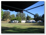 Fossickers Tourist Park - Nundle: Lots of space and room to move