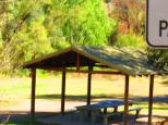 Swamp Creek - Nundle: Sheltered picnic area