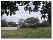 Oakridge Motel and Caravan Park - Oakey: Area for tents and camping