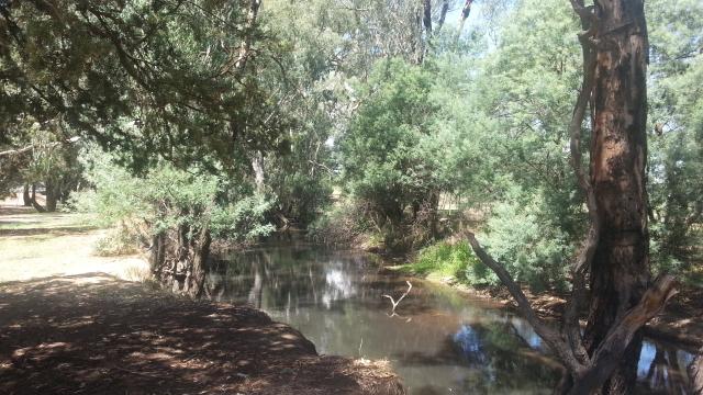 Stan Allan Reserve - Oxley: River beside the reserve.