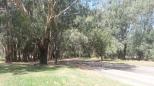 Stan Allan Reserve - Oxley: Shade trees but watch for falling branches.