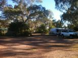 Padthaway Caravan Park - Padthaway: All sites are private and nicely sited.