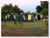 Pardoo Roadhouse Caravan Park - Pardoo: Area for tents and camping