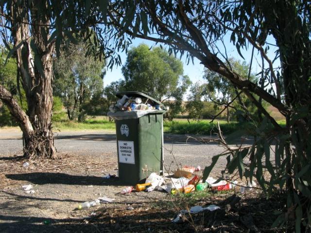 Currajong Rest Area - Parkes: Bins definitely need to be emptied.