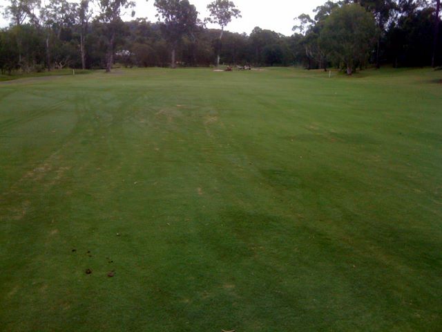 Parkwood International Golf Course - Parkwood, Gold Coast: Approach to the green on Hole 3
