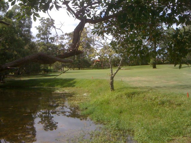 Parkwood International Golf Course - Parkwood, Gold Coast: Creek runs in front of the green on hole 7